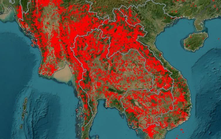 Next Step tweet media