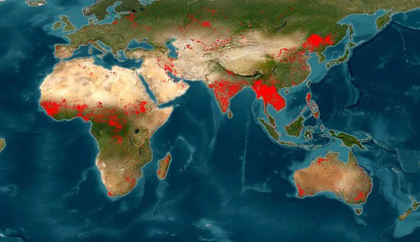 Next Step tweet media