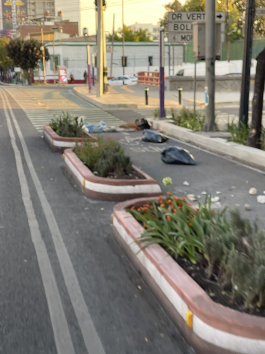 Ameyal Bicidente 🇵🇸 tweet media