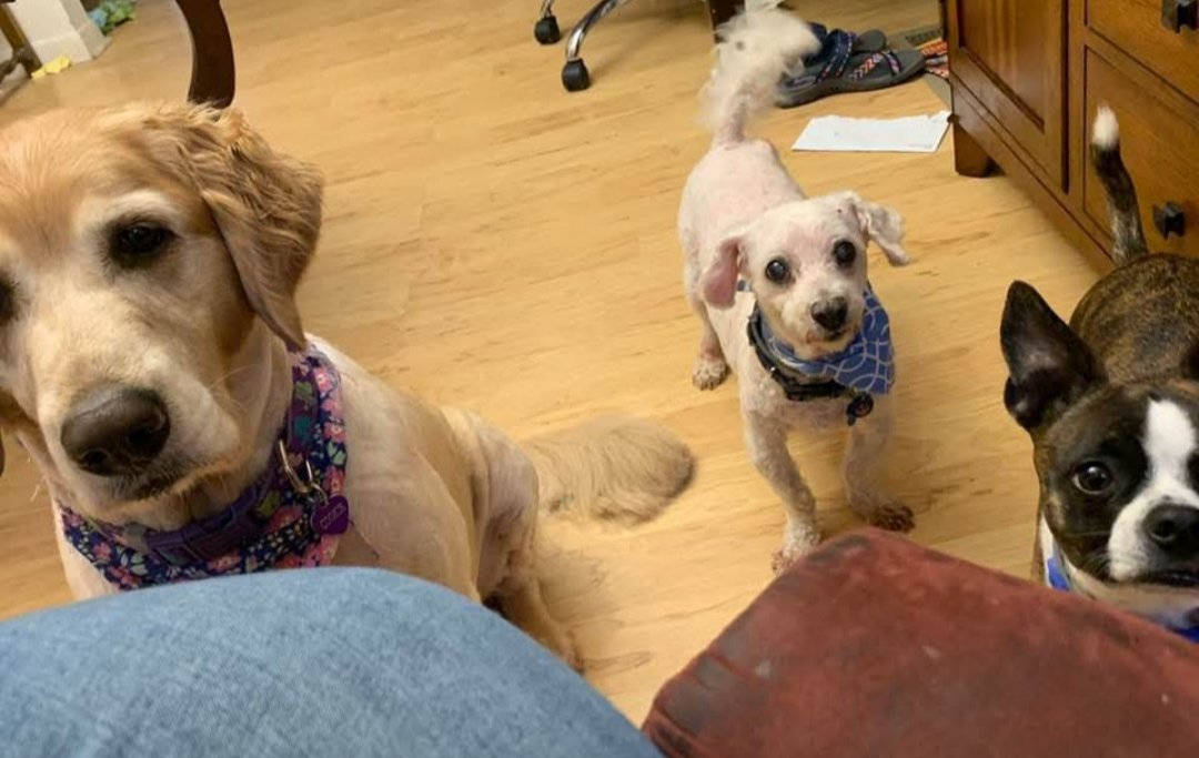 Kazi|TODD CHAVEZ OF EDTWT tweet media