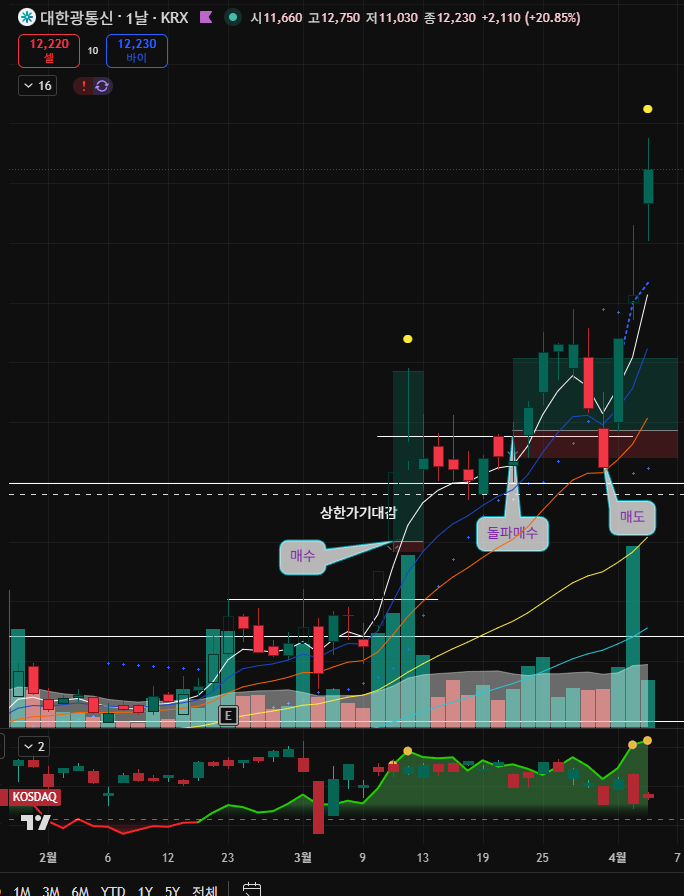 도토리키재기 tweet media