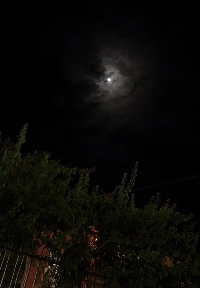 ﮼نورھ🦋 tweet media