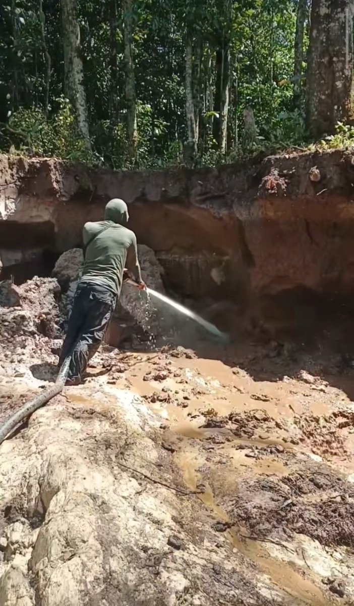 cheo0607 tweet media