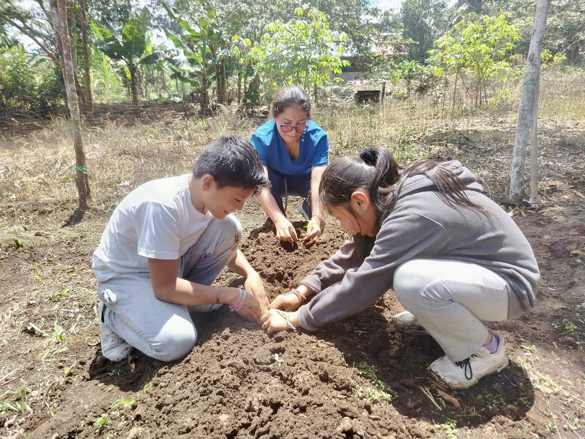 📍PARROQUIA POMONA 

La Tenencia en coordinacion con el personal de salud, infocentro y los niños de la escuela Eugenio Espejo, realizaron la limpieza y siembra  de  hortalizas y verduras en huerto familiar, fomentando una alimentación nutritiva y saludable.