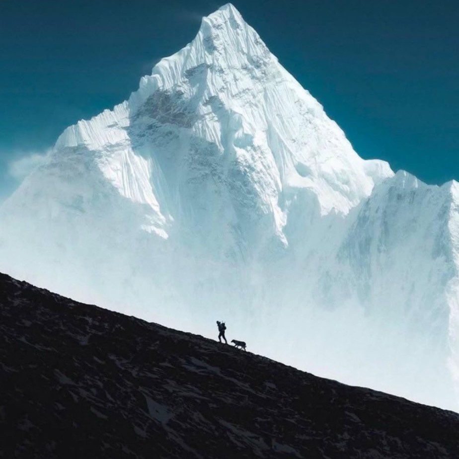 History Defined tweet media