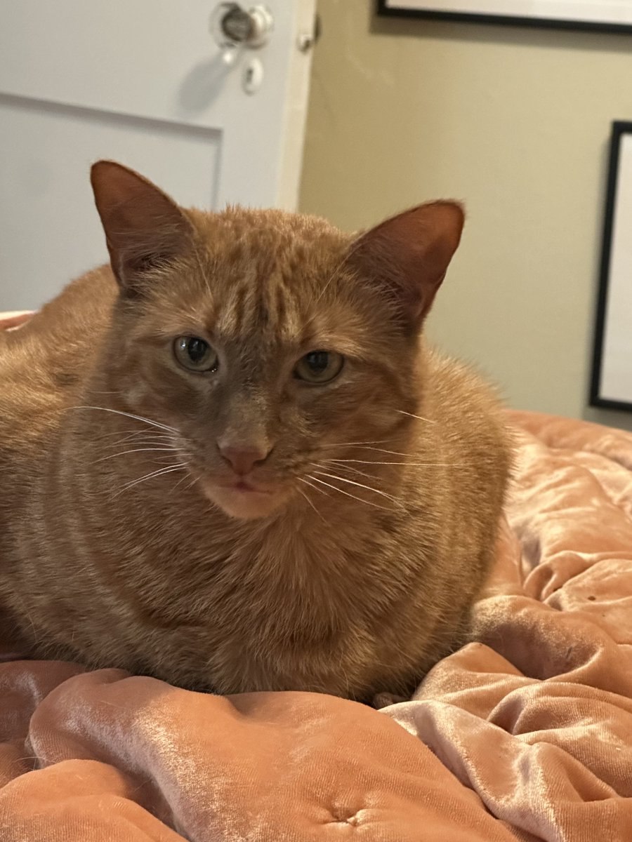 Patrick Skinner tweet media