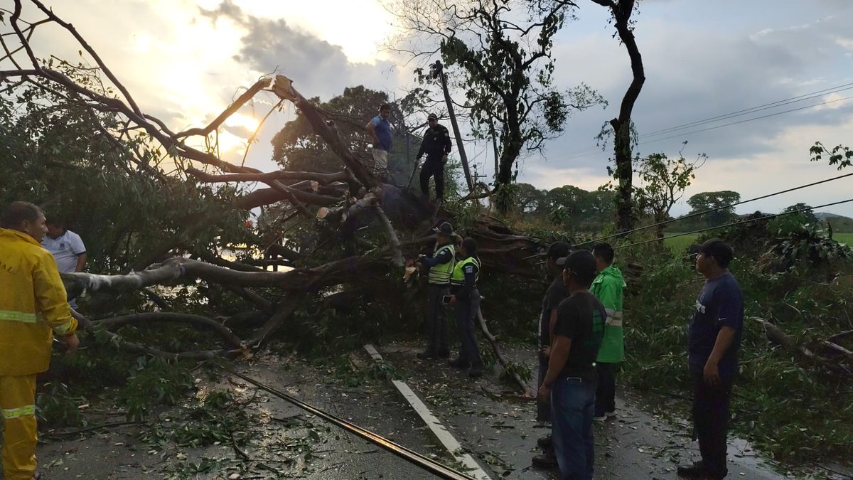 GSuchitepequez's tweet photo. A la altura del km 120 de la ruta CA-2 Sur Occidente, un árbol cayó sobre la cinta asfáltica, generando obstrucción vehicular.
✅ No se reportan heridos.
👷‍♂️ Equipos ya trabajan para habilitar el paso.
🏛️ Autoridades mantienen activo el plan de respuesta.
⚠️ Precaución al conducir https://t.co/JafTu9QSie