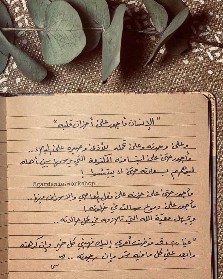 د. هيفاء حمد الراشد🇸🇦 tweet media