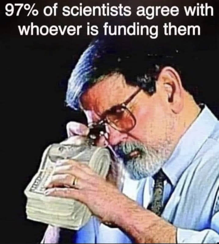 cpthilton tweet media