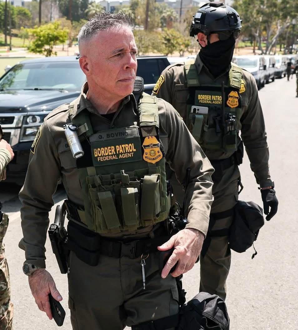 David Howes tweet media