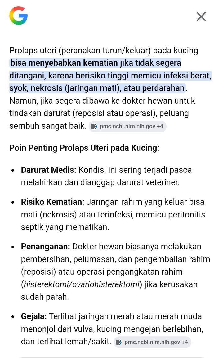 iKI, ARANe tweet media