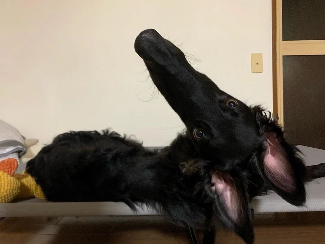 ☆𝒂𝒅𝒂𝒓𝒂☆ tweet media