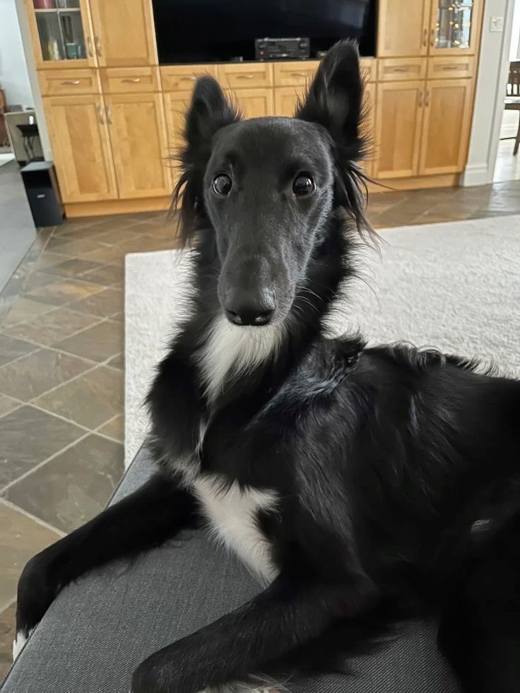 ☆𝒂𝒅𝒂𝒓𝒂☆ tweet media