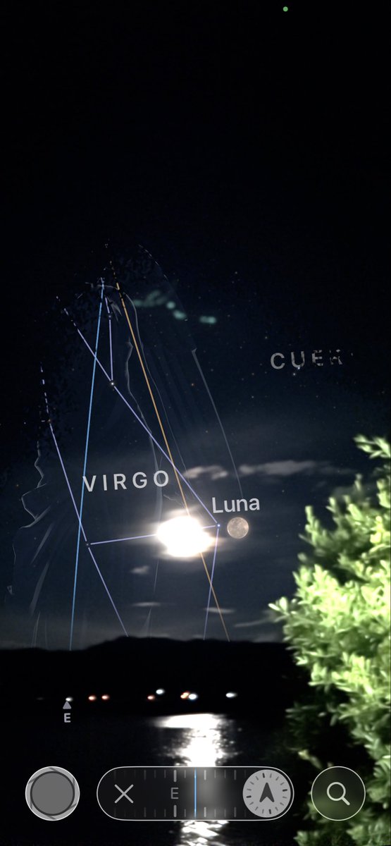 SielvaMaria🪷 tweet media