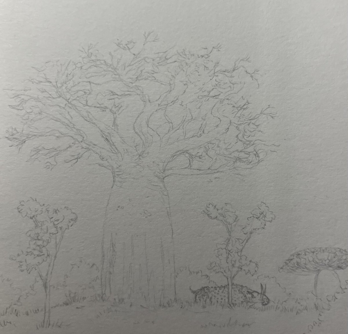 Sly 🏴 tweet media