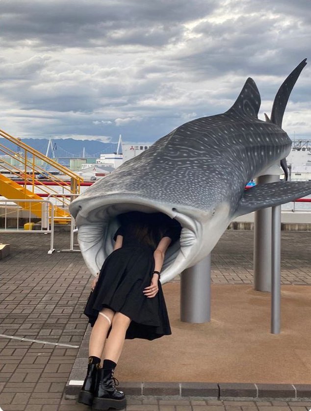 ルカルカ⭐︎ナイトフィーバー tweet media