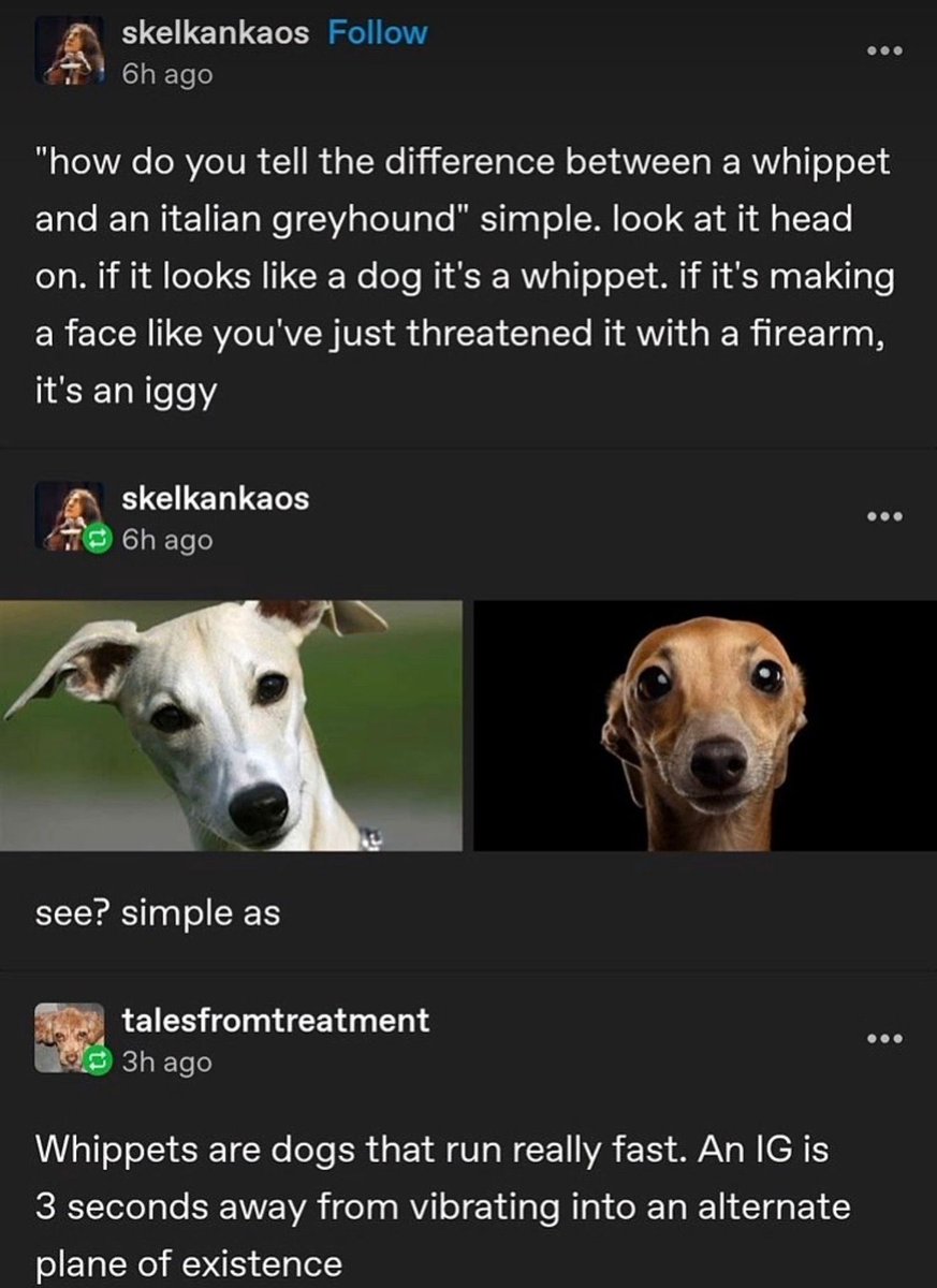 no context memes (@weirddalle) on Twitter photo 