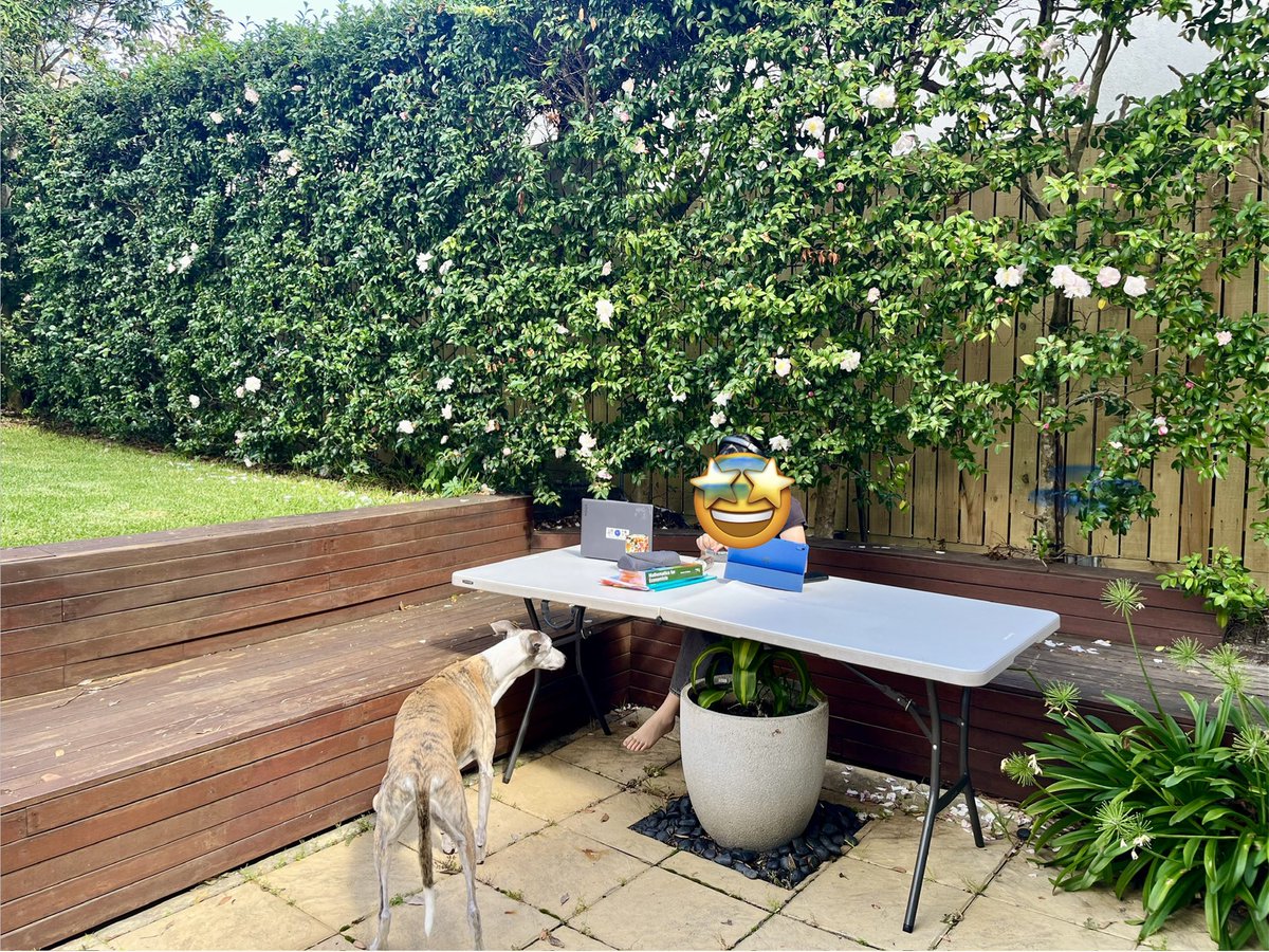 ヤスコ in シドニー🇦🇺🐨🦘 tweet media