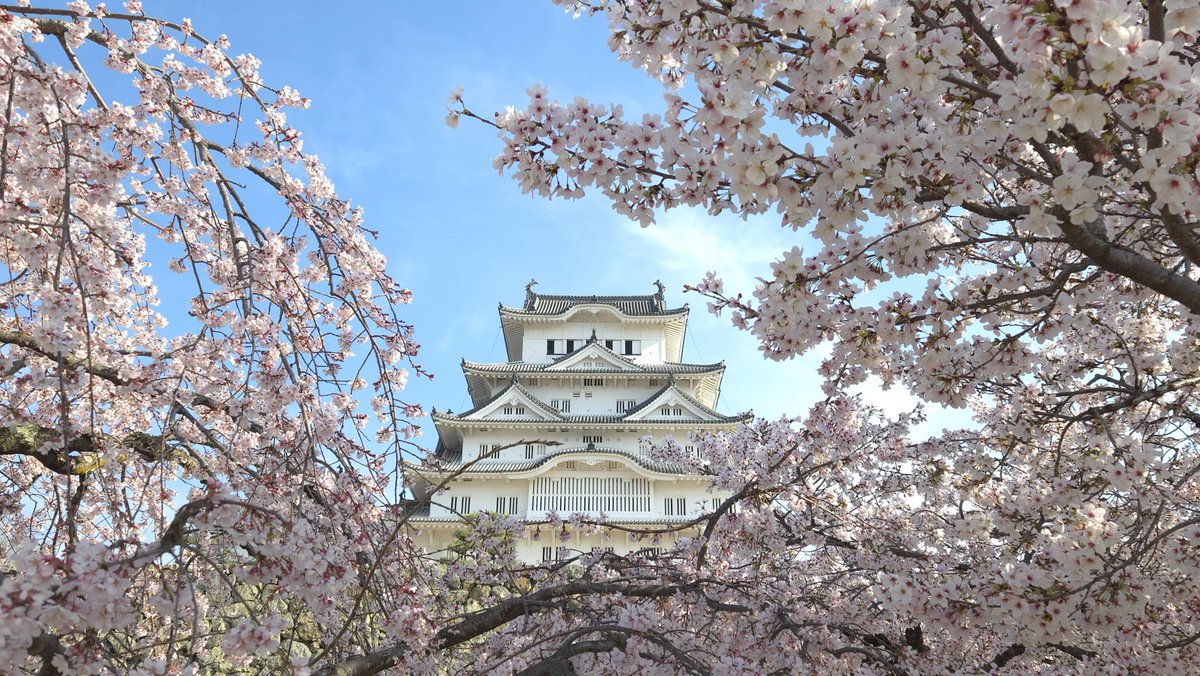 姫路城運営事務所【公式】 tweet media