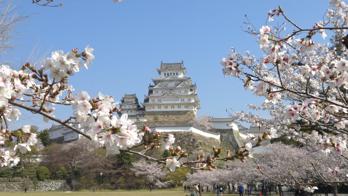 姫路城運営事務所【公式】 tweet media