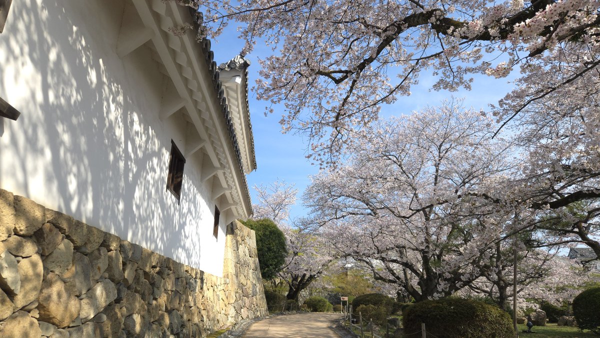 姫路城運営事務所【公式】 tweet media