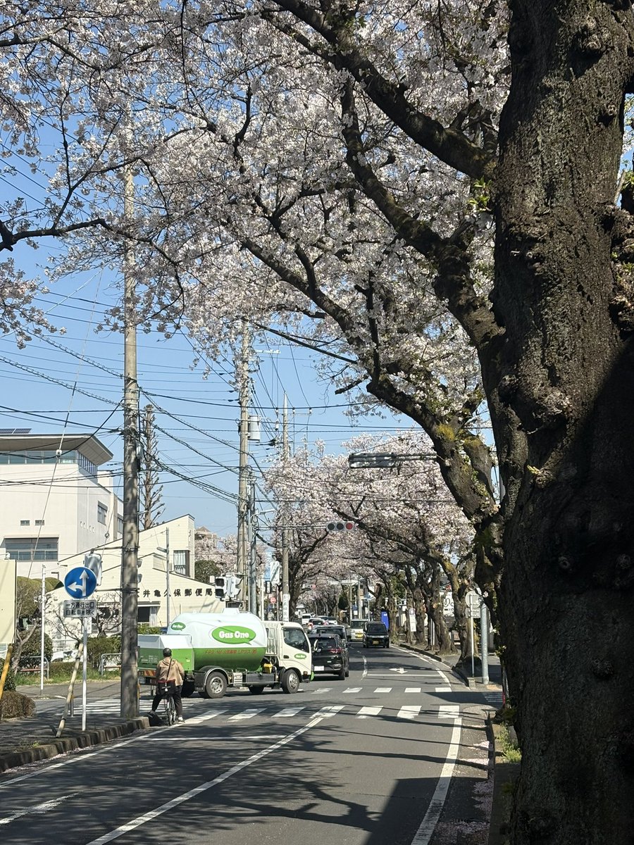 うさぎもち tweet media