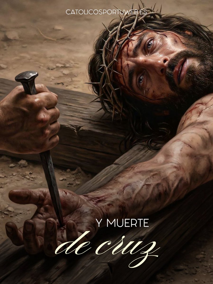 CATÓLICOS POR TU WEB tweet media