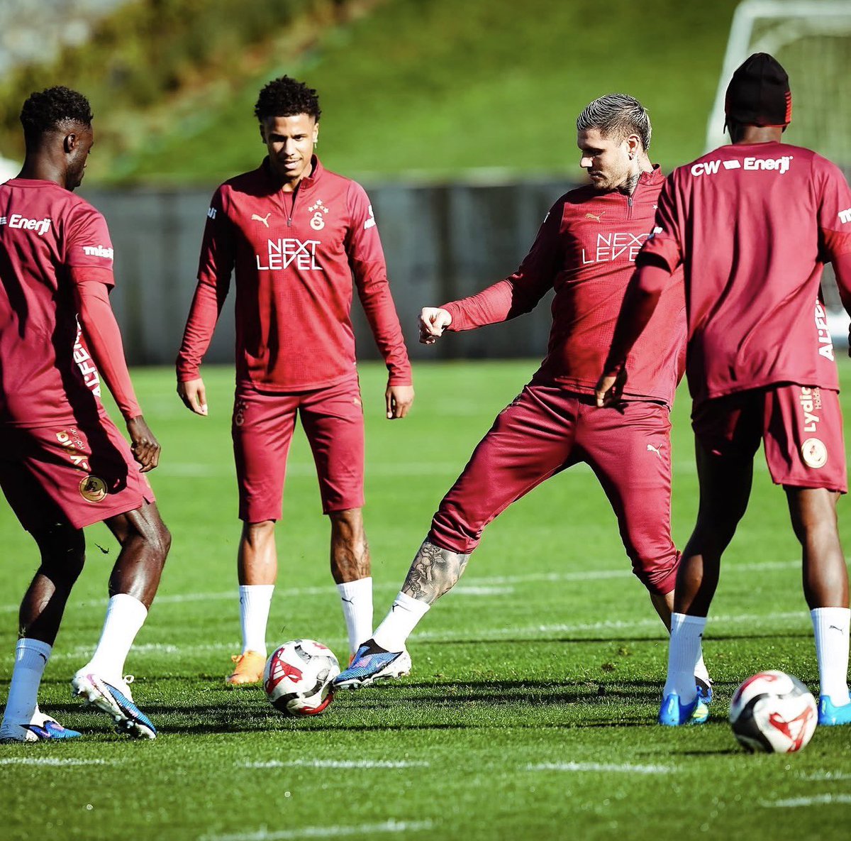 🐈 La cuenta del Gato tweet media