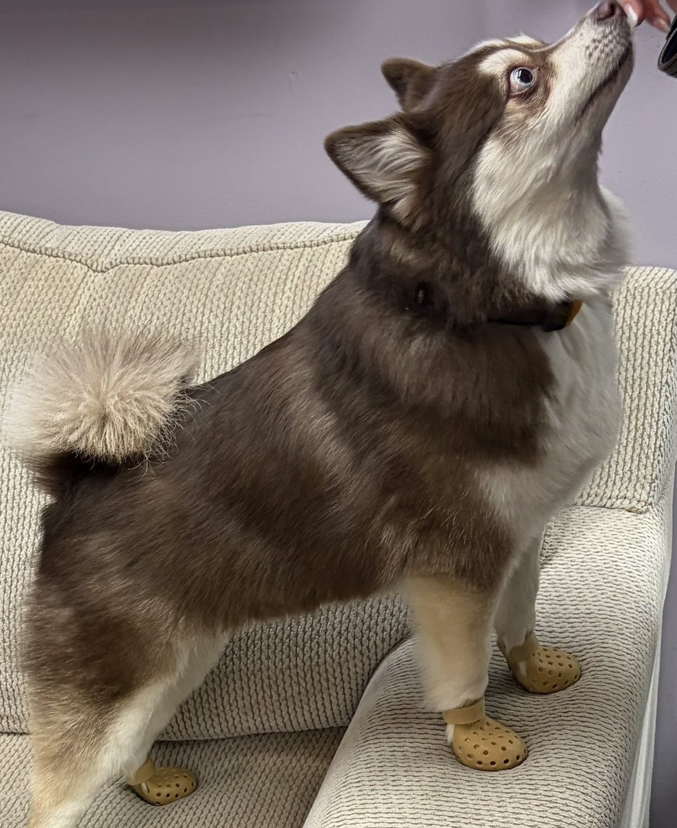 Barry Levy tweet media