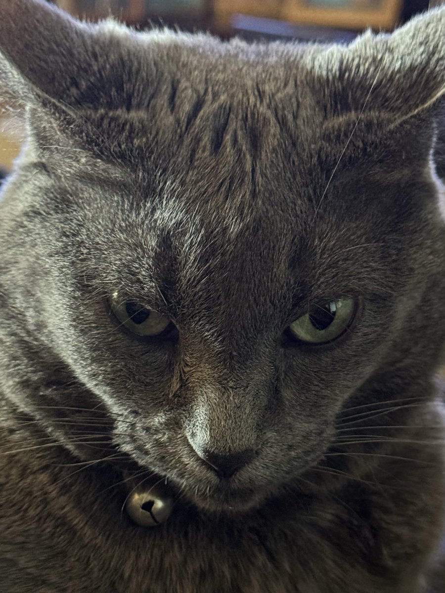 Weeble Wobble tweet media