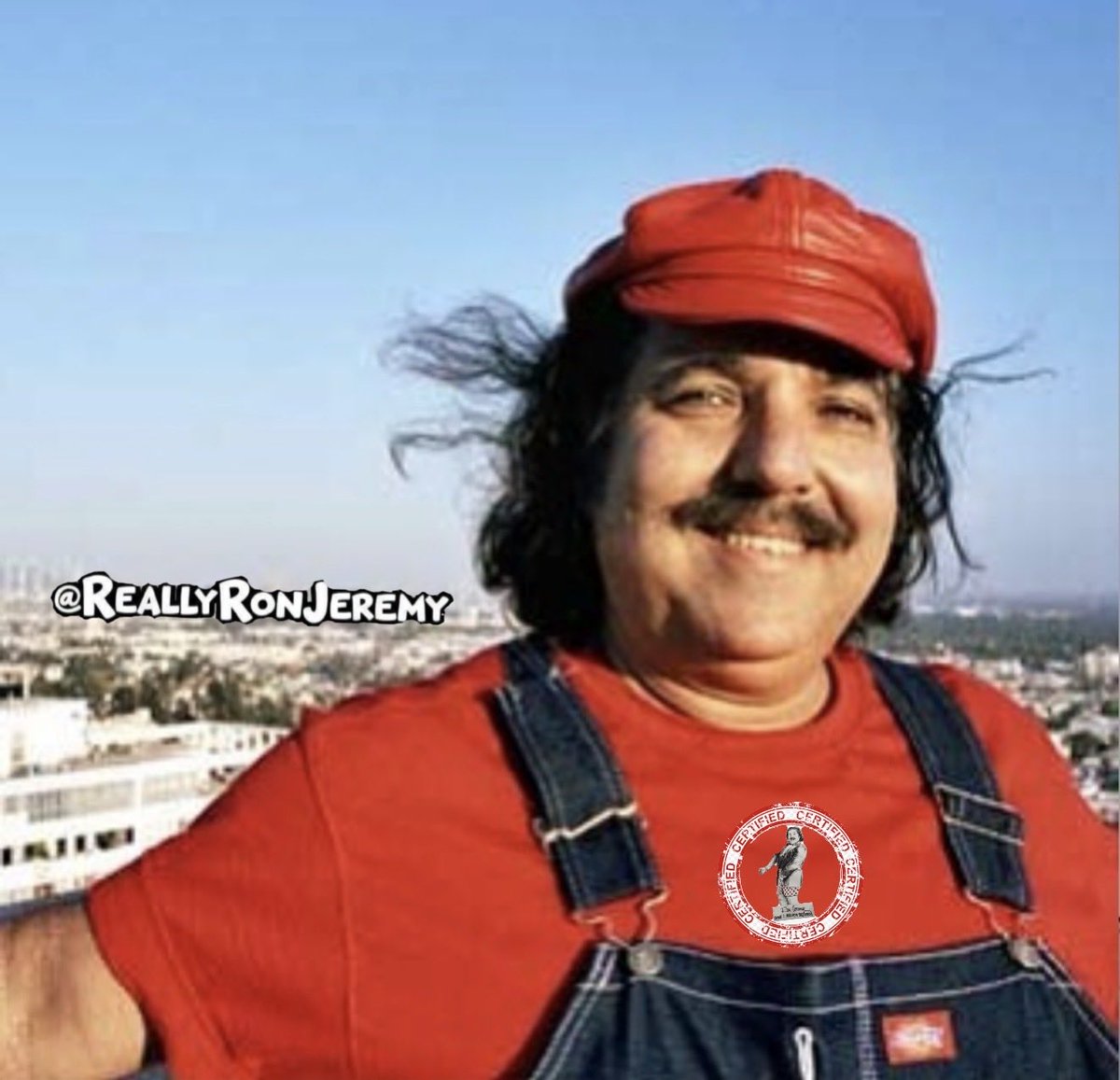 The Hedgehog tweet media