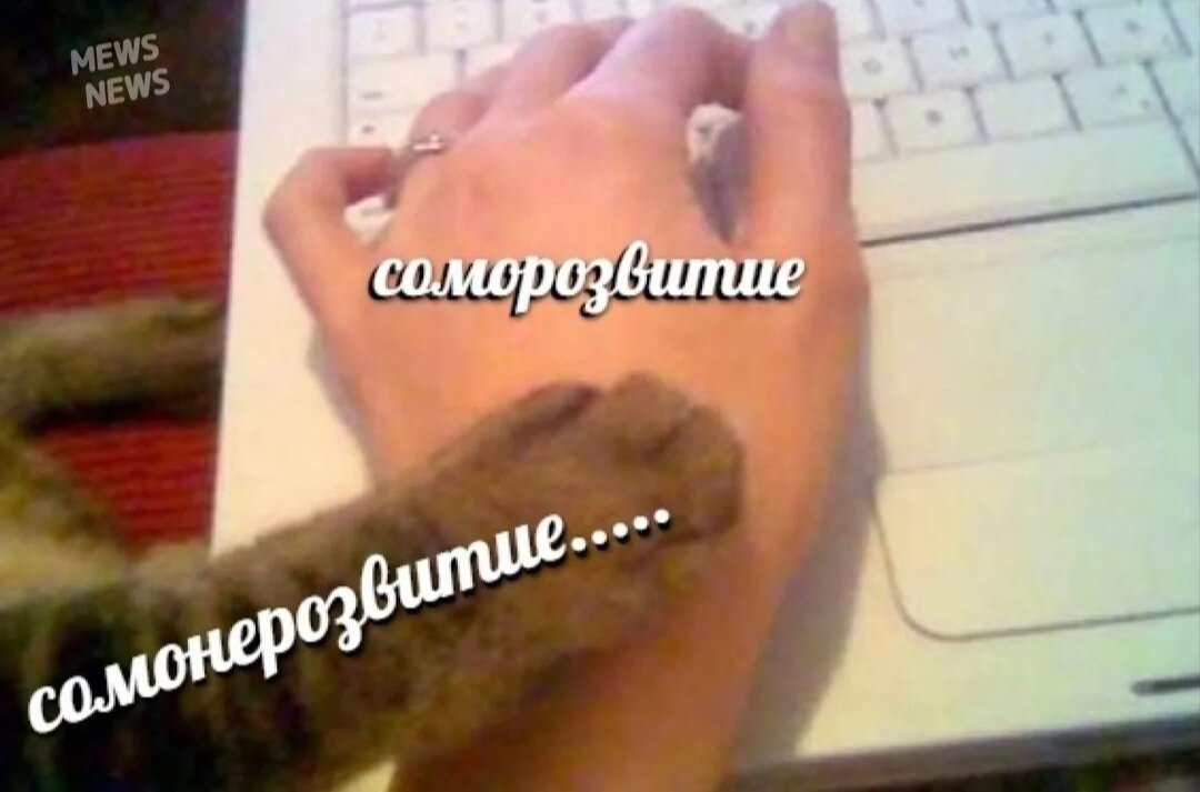 Котодьяк приказа обнимашковых дел😼 tweet media