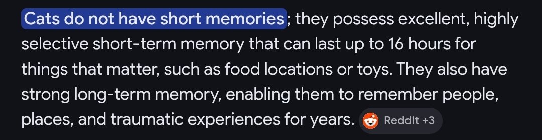 LostInTheVoid tweet media