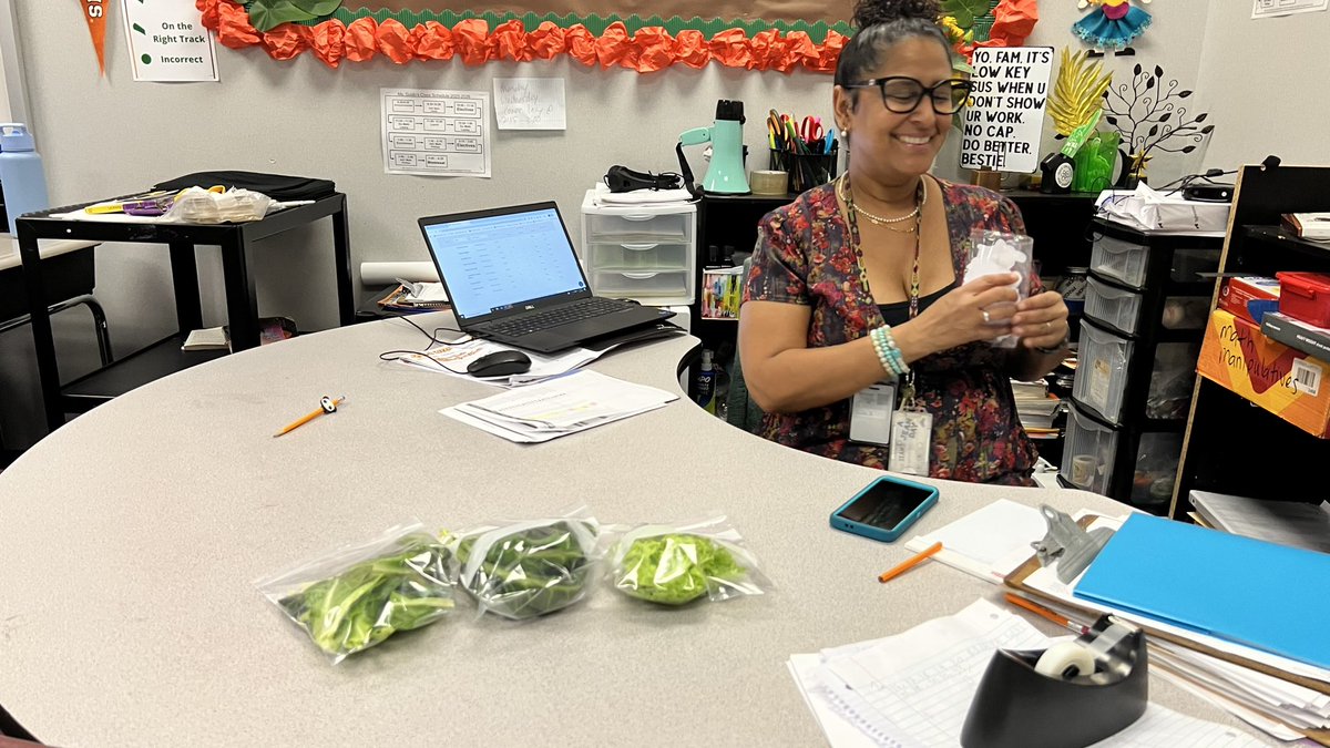 Msbjonesclass's tweet photo. From garden to table 🌿💚

Our Wildcat family got to enjoy fresh herbs grown right here on campus! Cilantro was a crowd favorite, along with basil, dill, spinach, and lettuce 🌱

Hands-on learning + real-world connections = unforgettable experiences!

#STEMinAction #Hydroponics https://t.co/2VkurTGS1Q