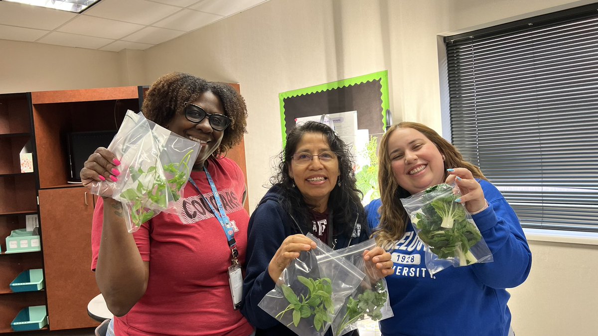 Msbjonesclass's tweet photo. From garden to table 🌿💚

Our Wildcat family got to enjoy fresh herbs grown right here on campus! Cilantro was a crowd favorite, along with basil, dill, spinach, and lettuce 🌱

Hands-on learning + real-world connections = unforgettable experiences!

#STEMinAction #Hydroponics https://t.co/2VkurTGS1Q