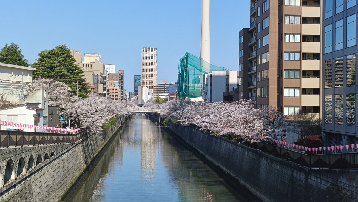 はかせ tweet media