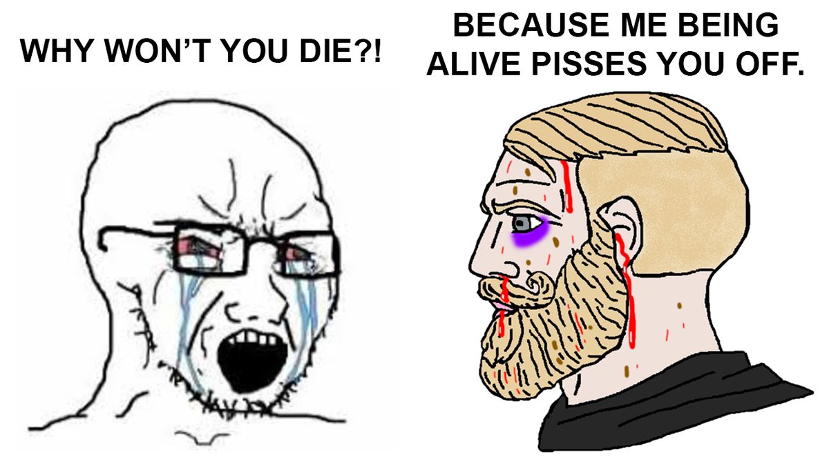 Possum Reviews tweet media