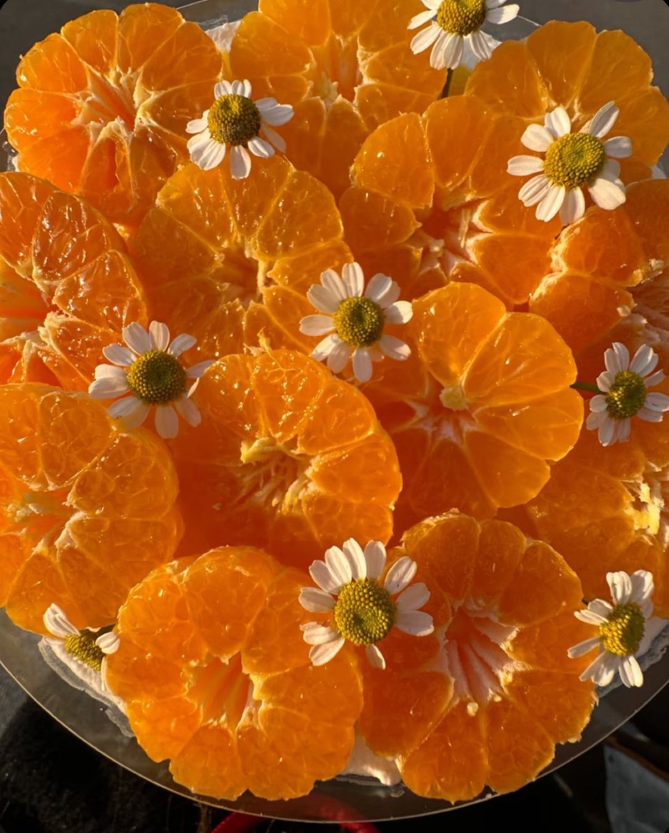 Elle Lookbook tweet media