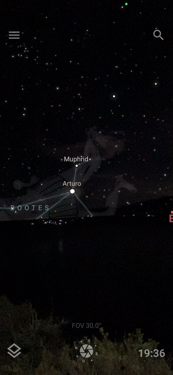 SielvaMaria🪷 tweet media