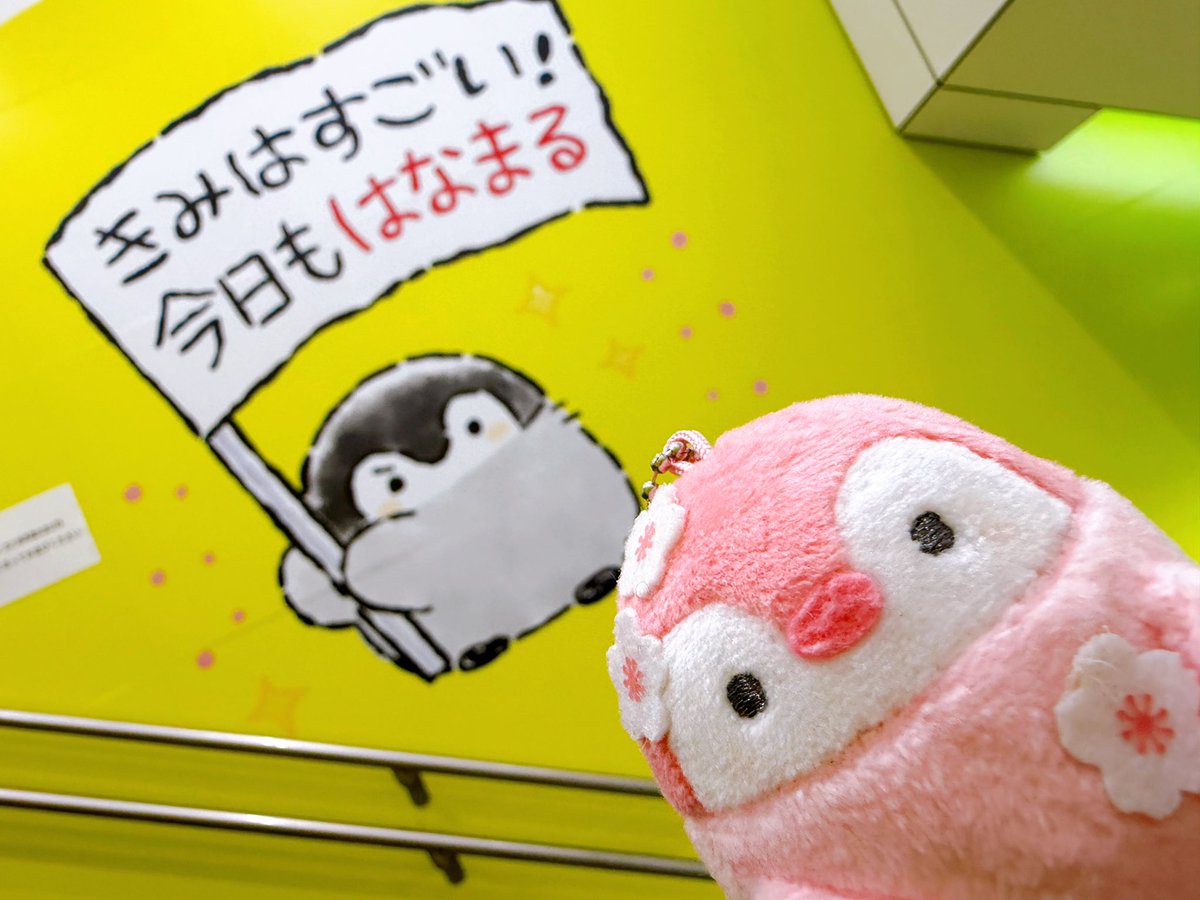 しばらくぶりなものだなぁ……！