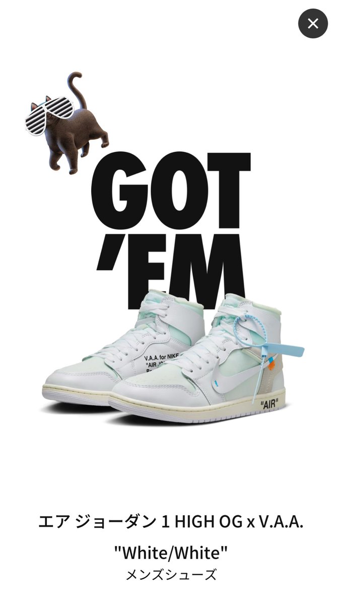 bonta_neco's tweet image. …またネコはAJ1履かんや…って、
いわれ…😺💦💦

爆量ってことでおk？🥱