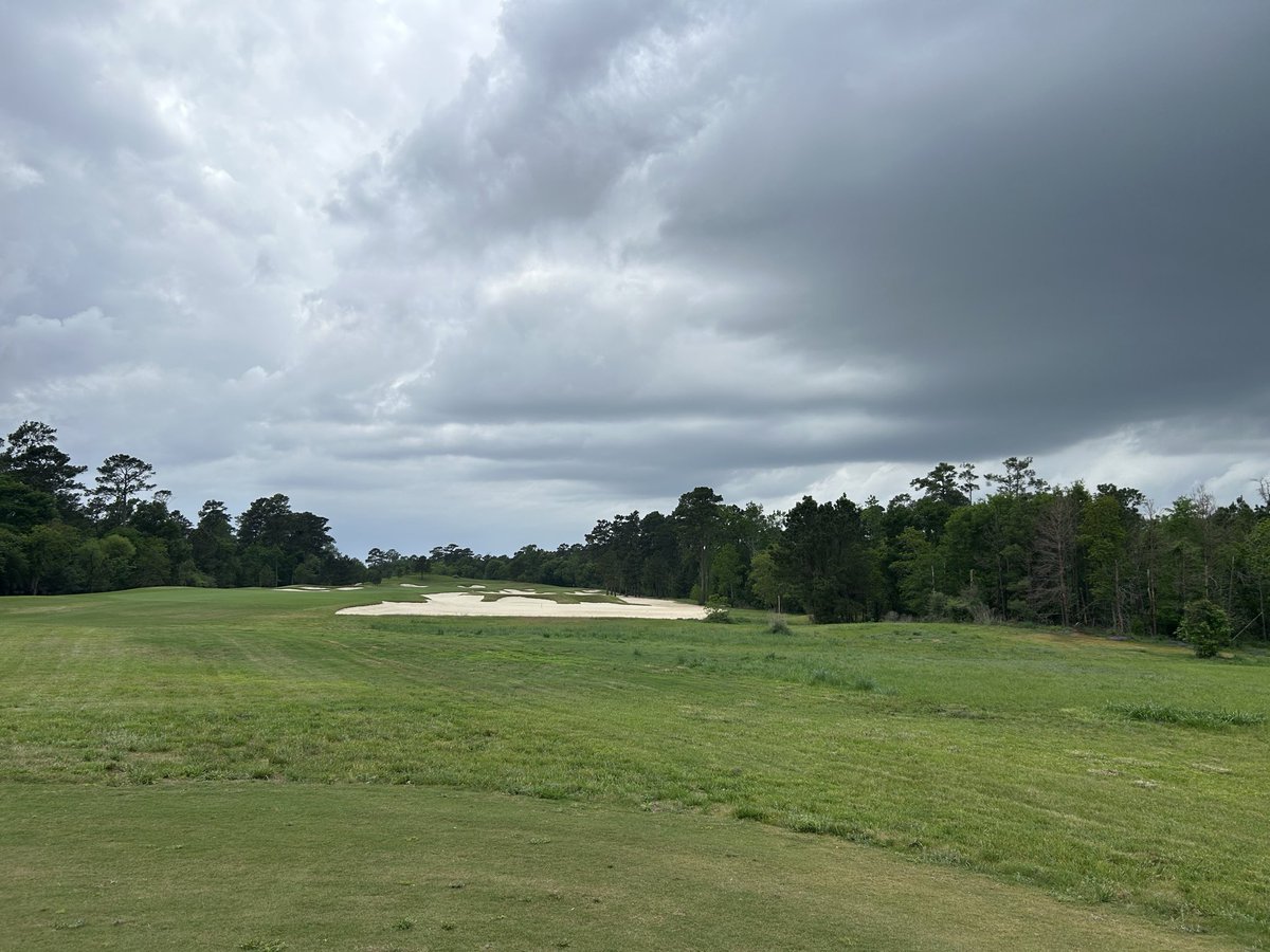 No Divots tweet media