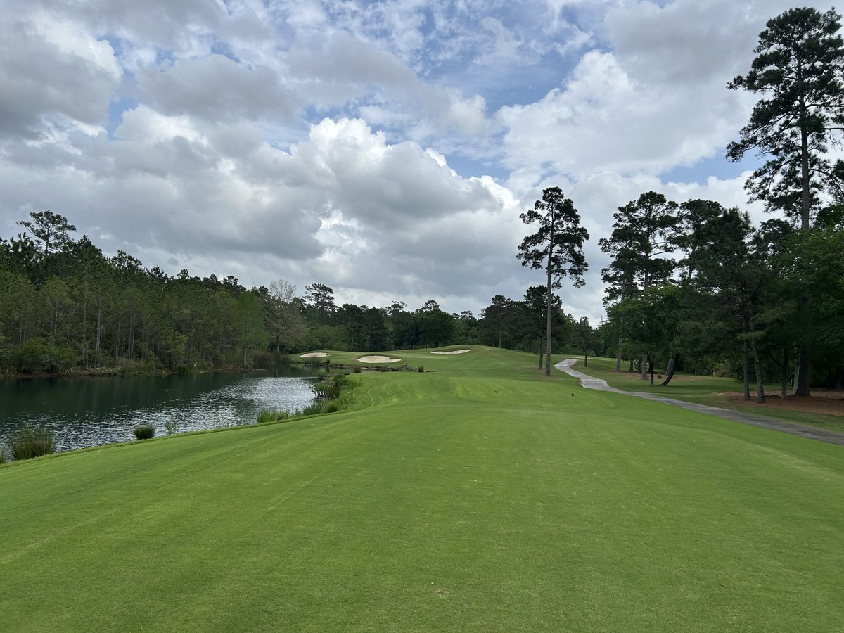 No Divots tweet media