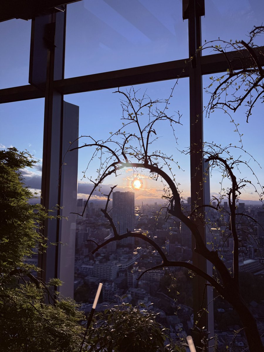 霧野あゆか🐥🧀 tweet media