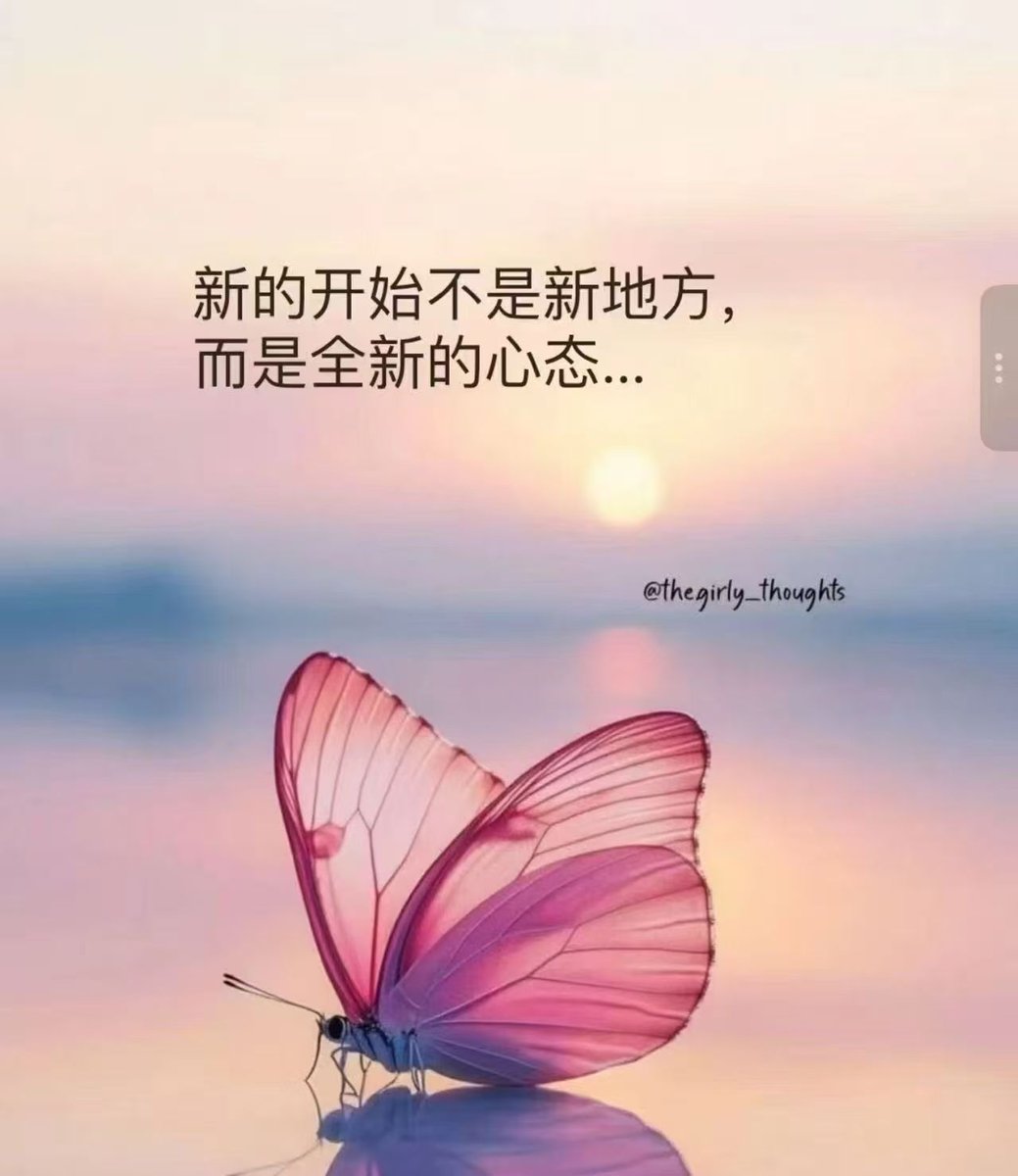 军师•LEE tweet media