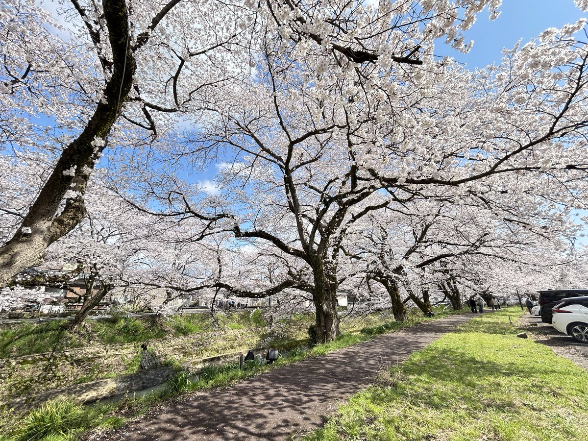 るう🌧 tweet media