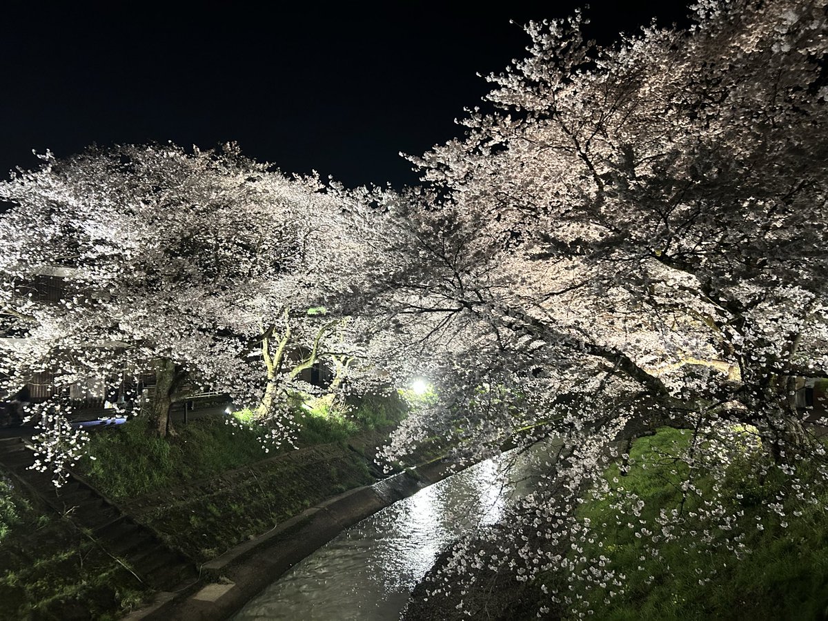 るう🌧 tweet media