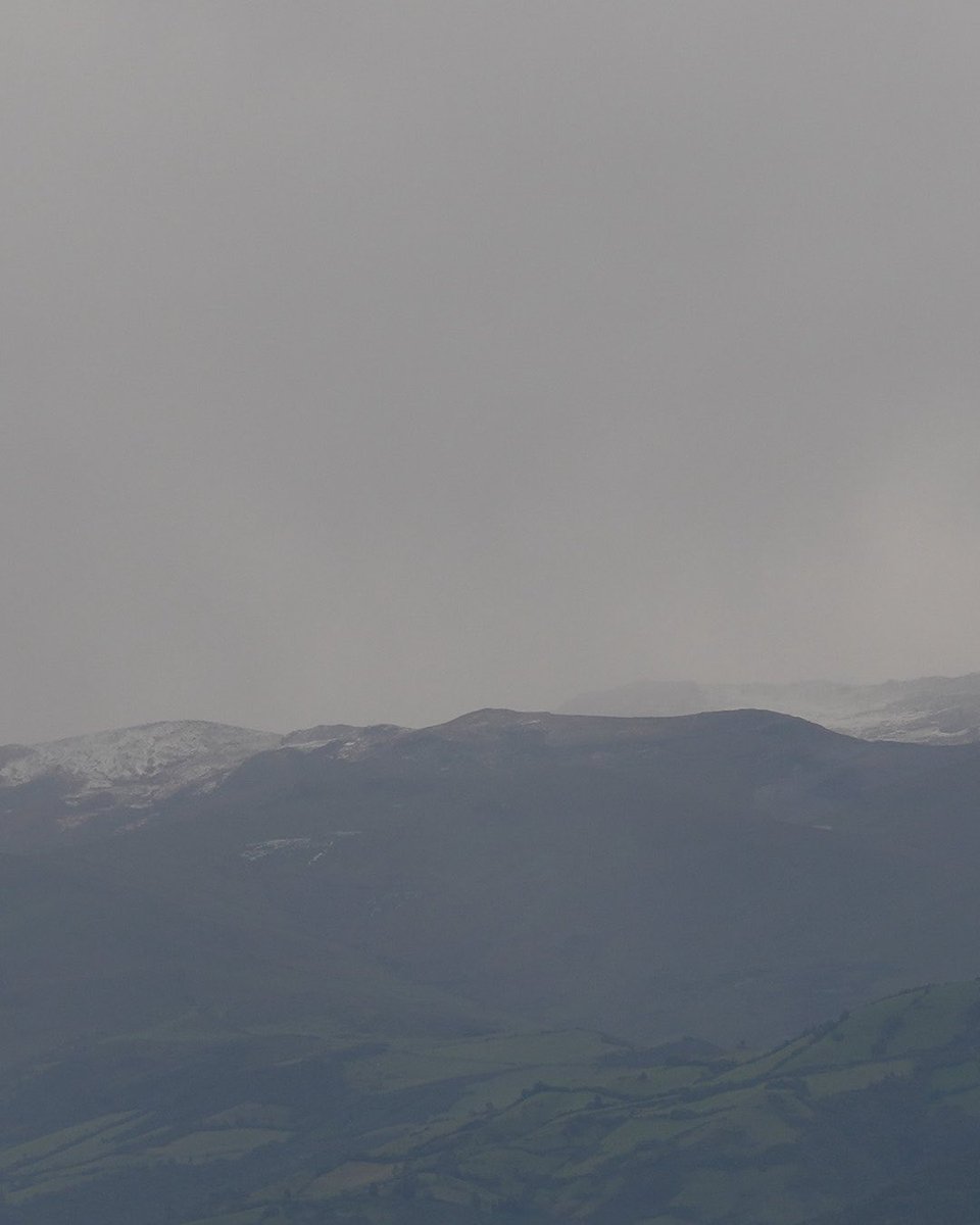 Kim Beish tweet media