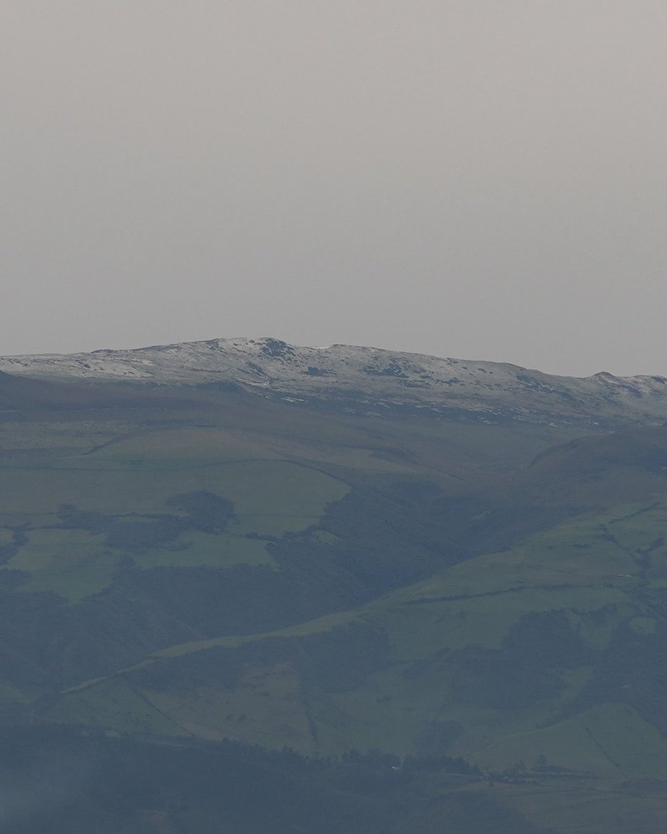 Kim Beish tweet media