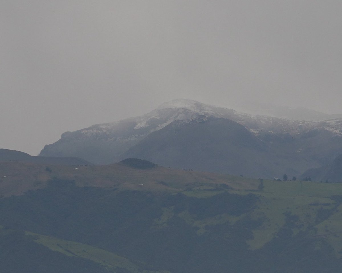 Kim Beish tweet media